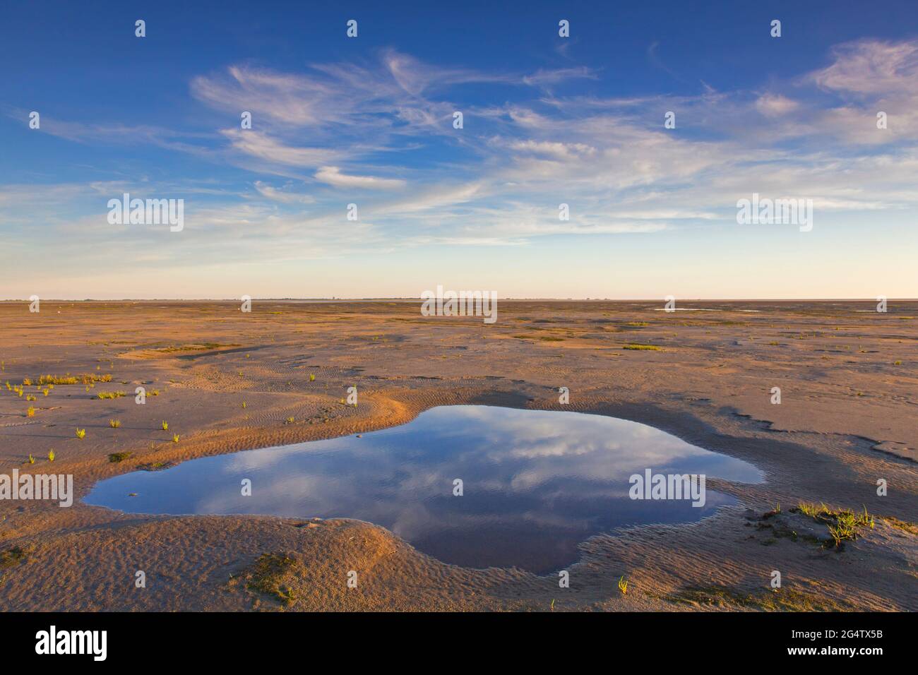 Tidal pool at low tide in mudflat, Wadden Sea National Park, North Frisia, Schleswig-Holstein, Germany Stock Photo