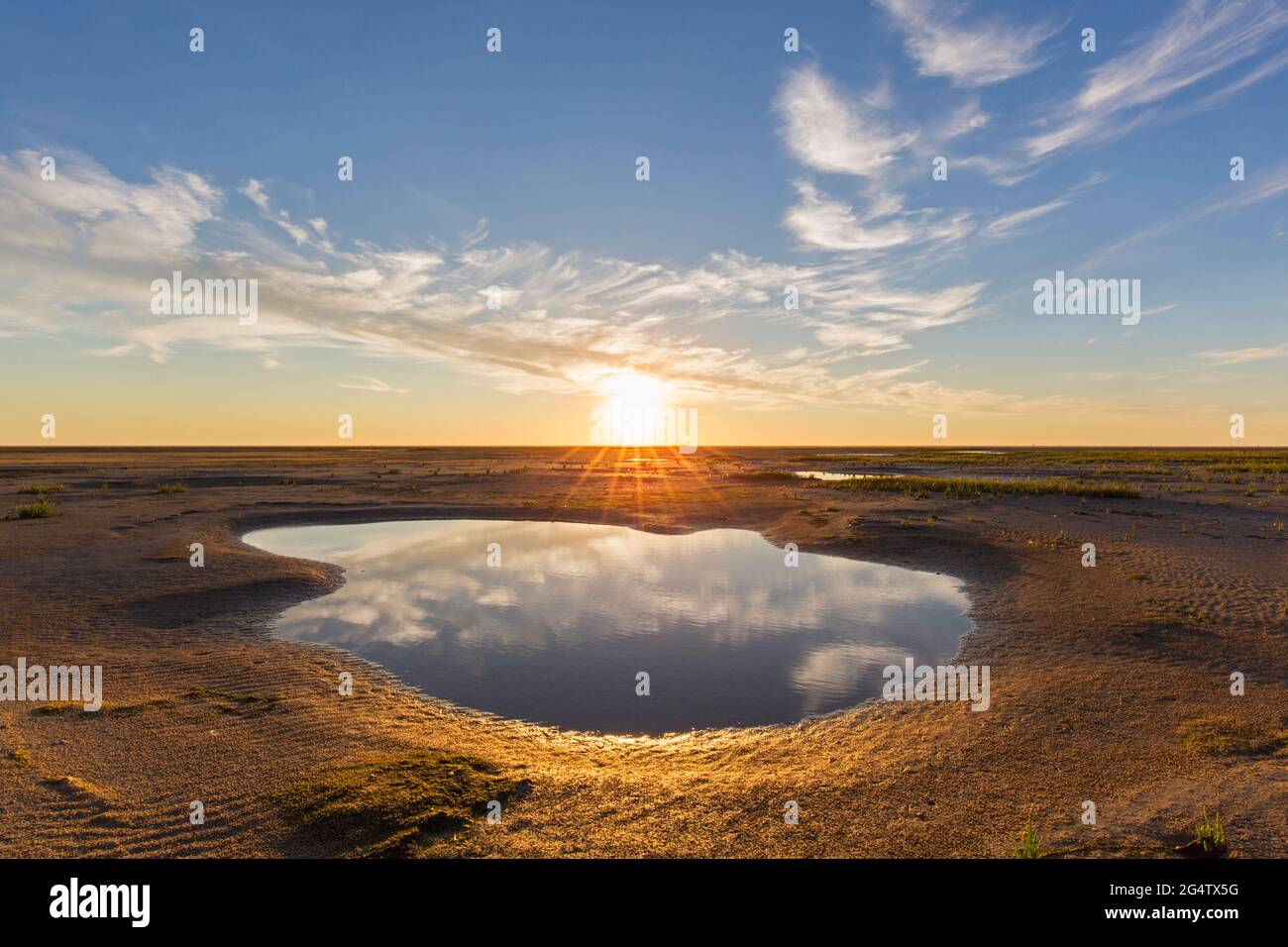 Tidal pool in mudflat at sunset, Wadden Sea National Park, North Frisia, Schleswig-Holstein, Germany Stock Photo