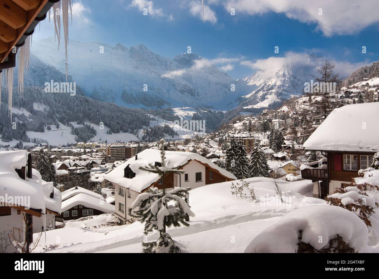 A winter scene of houses, chalets and rooftops covered in a thick layer of snow, also trees in Engelberg, Obwalden canton, central Switzerland Stock Photo