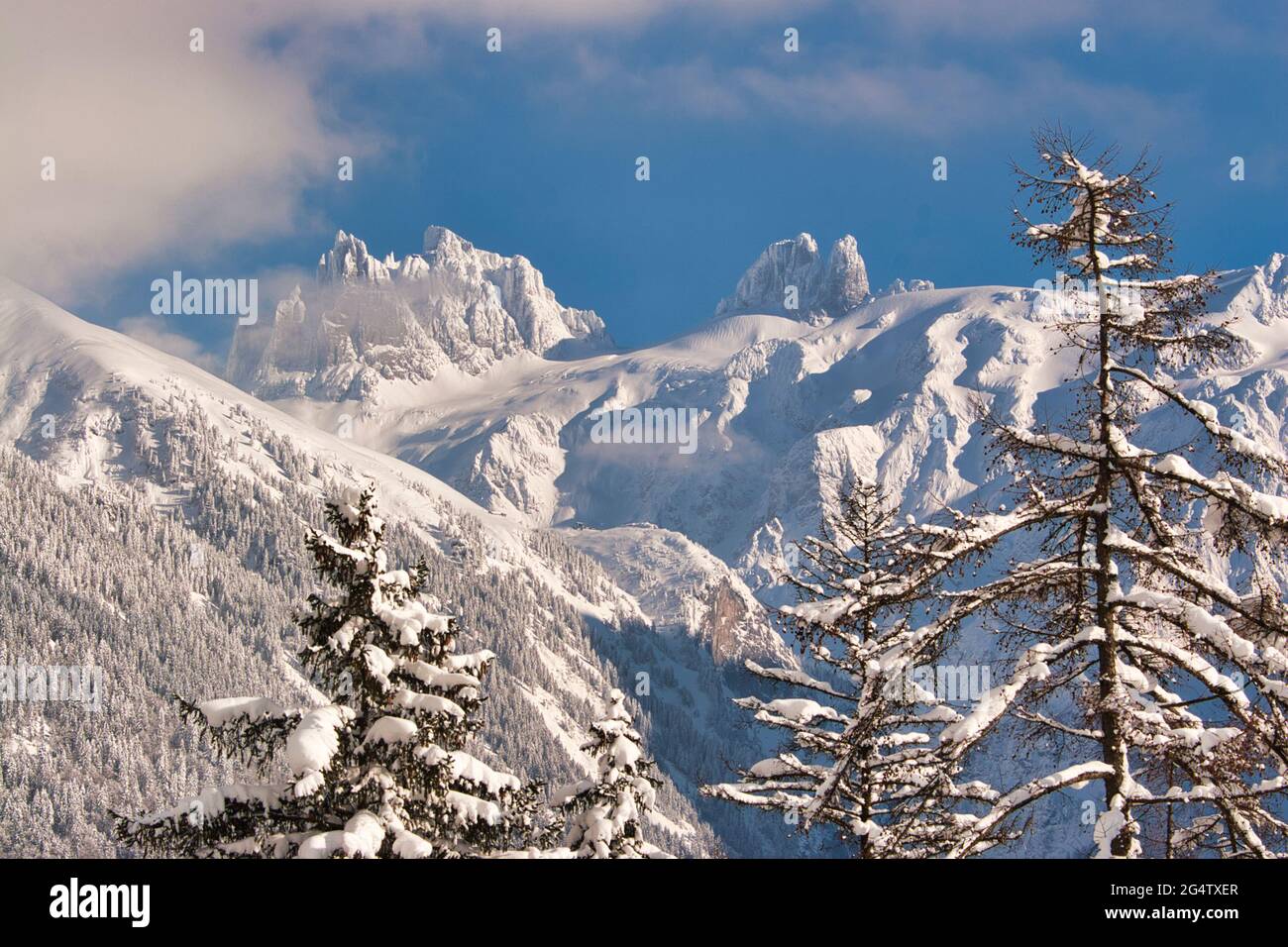 Sunlit view of two mountain peaks in central Switzerland, Great Spannort on the left and Little Spannort on the right, above Engelberg with trees Stock Photo