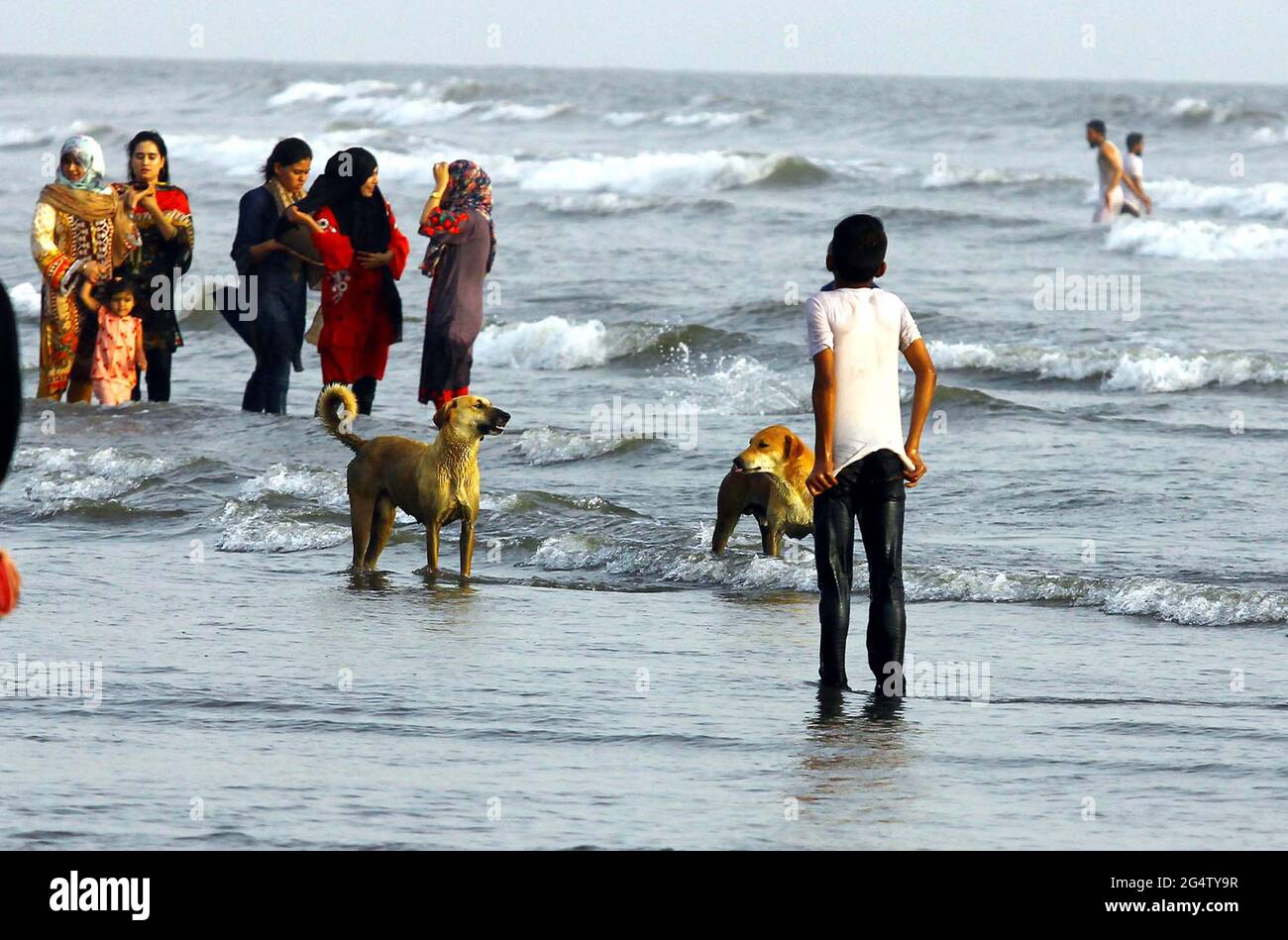 How Do Dogs Cool Themselves