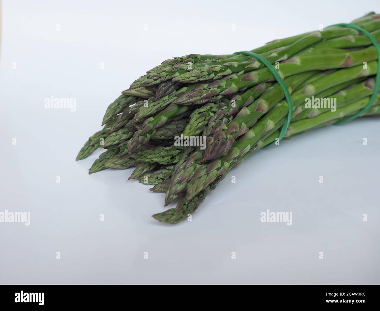 asparagus (scientific name Asparagus officinalis) vegetables vegetarian