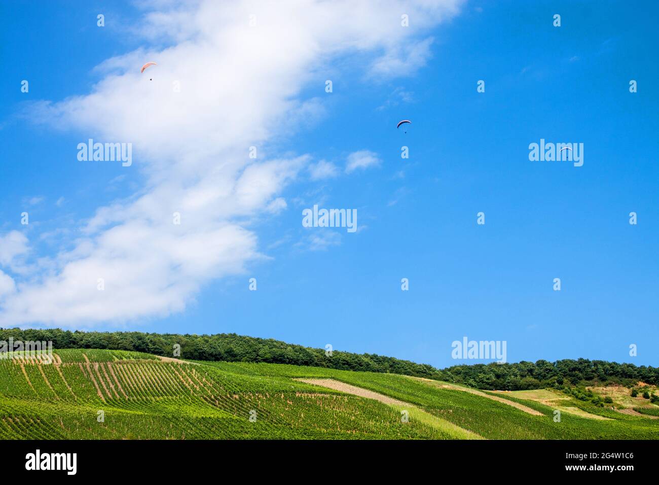 Paraglides over Moselle valley, Germany Stock Photo