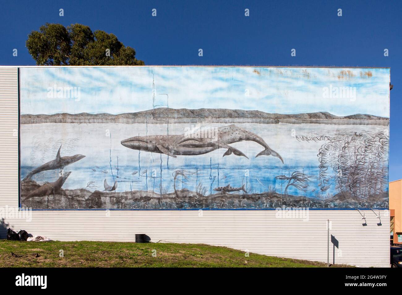 Whale artwork on a wall in Monterey, California, USA Stock Photo