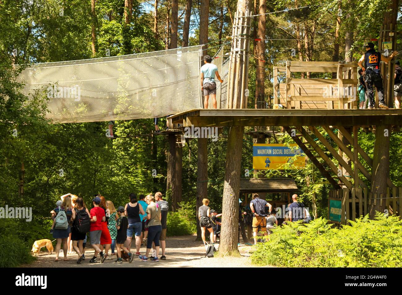Go Ape High Resolution Stock Photography And Images Alamy Go Ape High Resolution Stock Photography And Images Alamy