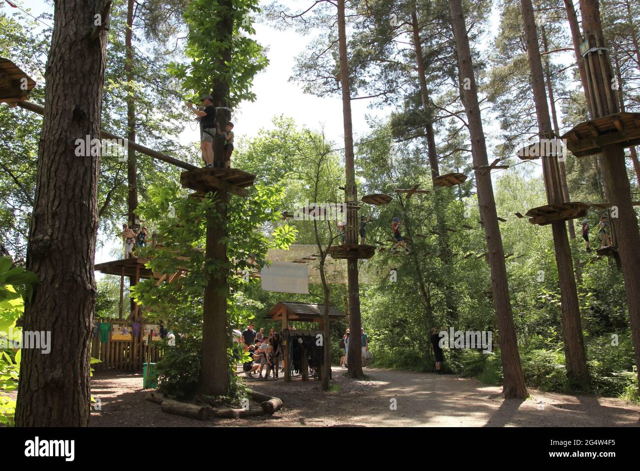 Go Ape, treetop adventure walk, Alice Holt Forest, Alton, Surrey, UK, Summer June 2021 Stock Photo
