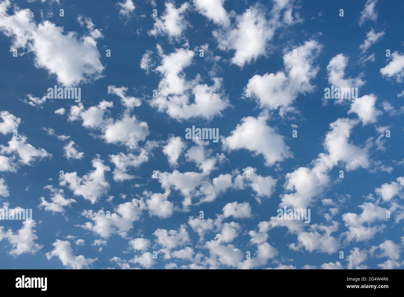 Stock photos for weather magazine websites partly cloudy blue sky. Puffy balls cotton ball clouds Stock Photo