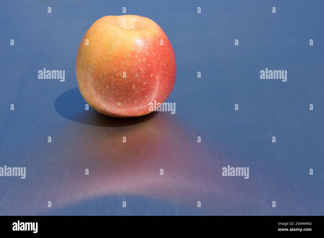 fresh red yellow apple in the sunlight and reflection on clean blue ...