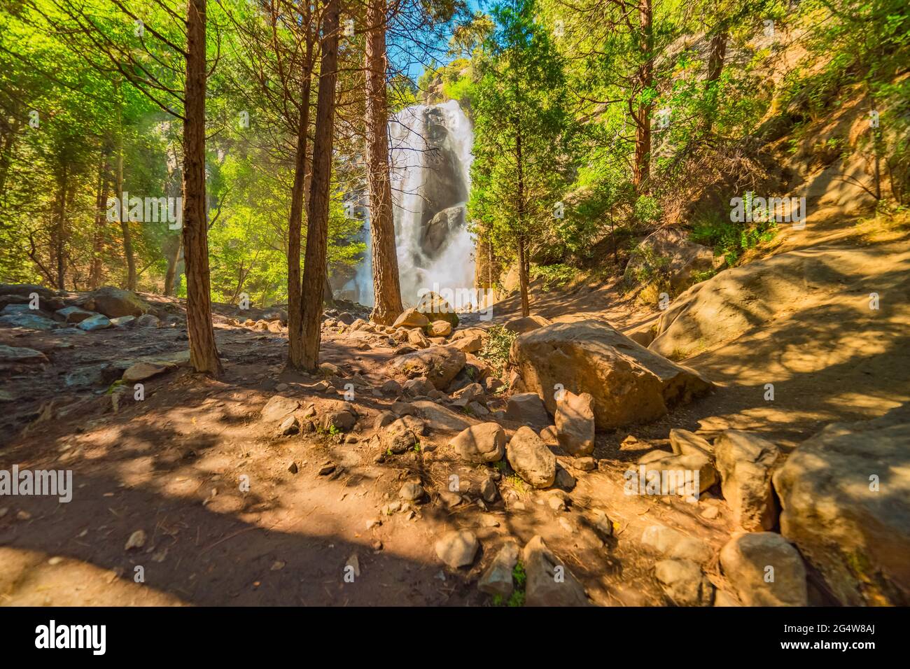 Grizzly Falls water falls down the hillside into the pine forest below in King's Canyon National Park in Central California Stock Photo