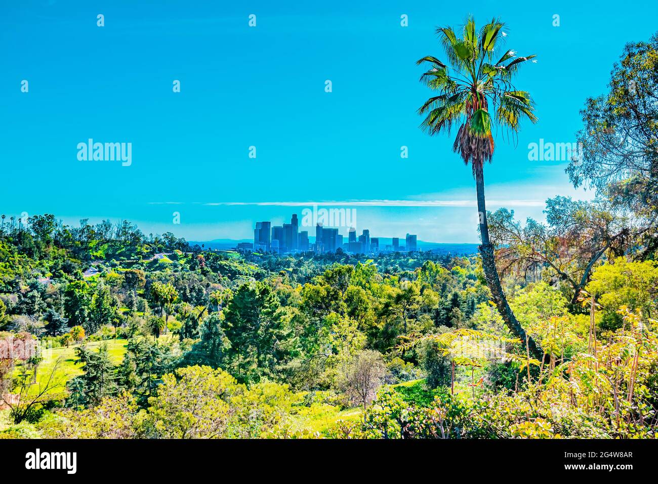 A tree filled hilltop view of the Los Angeles skyline shows skyscrapers, and multiple types of businesses.  The hills and trees are part of the huge E Stock Photo