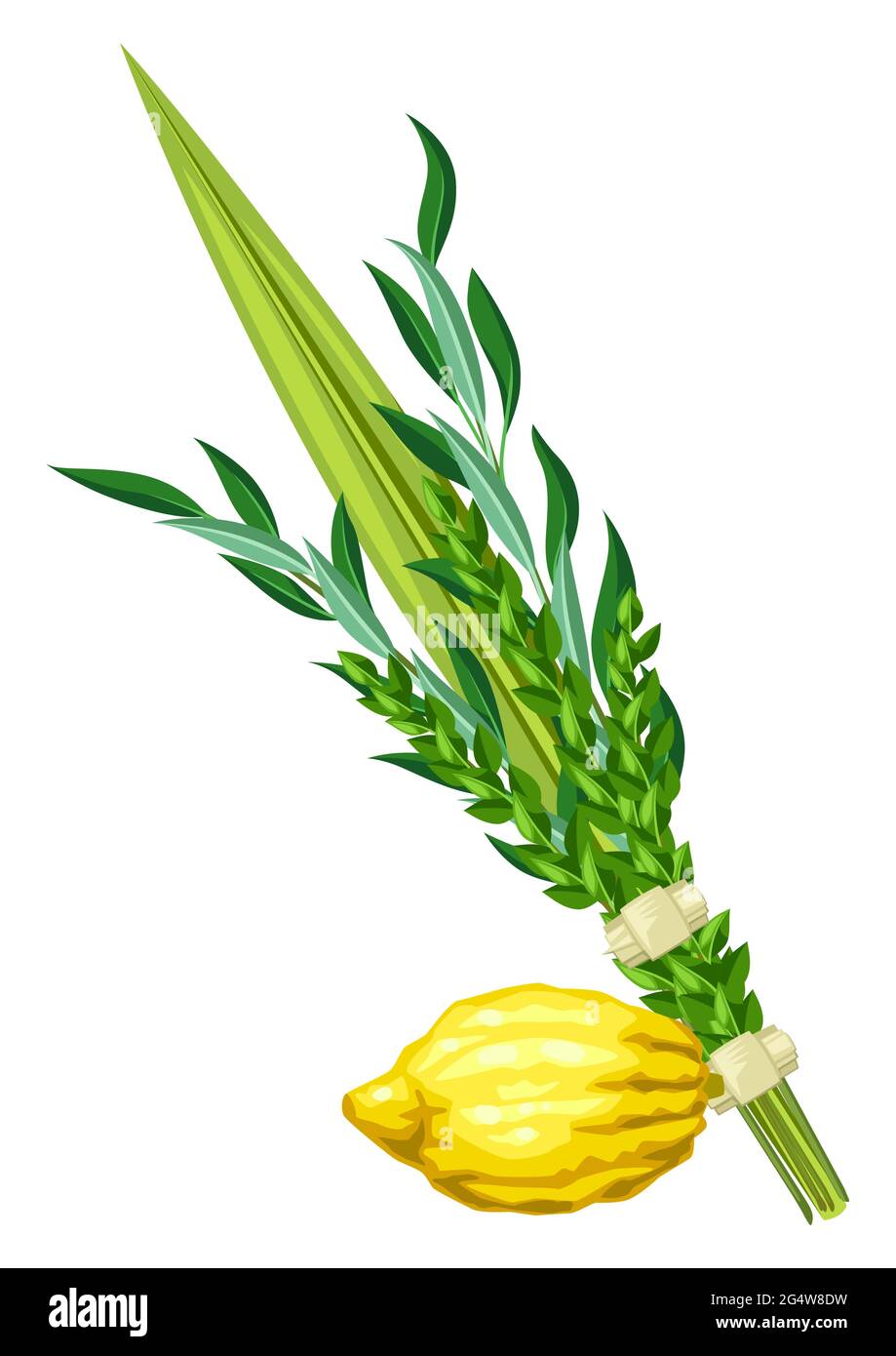 Картинки суккот