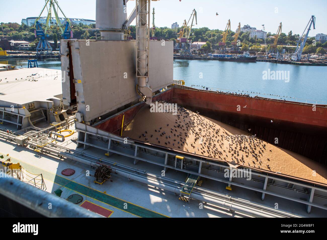Wheat in cargo hold hires stock photography and images Alamy