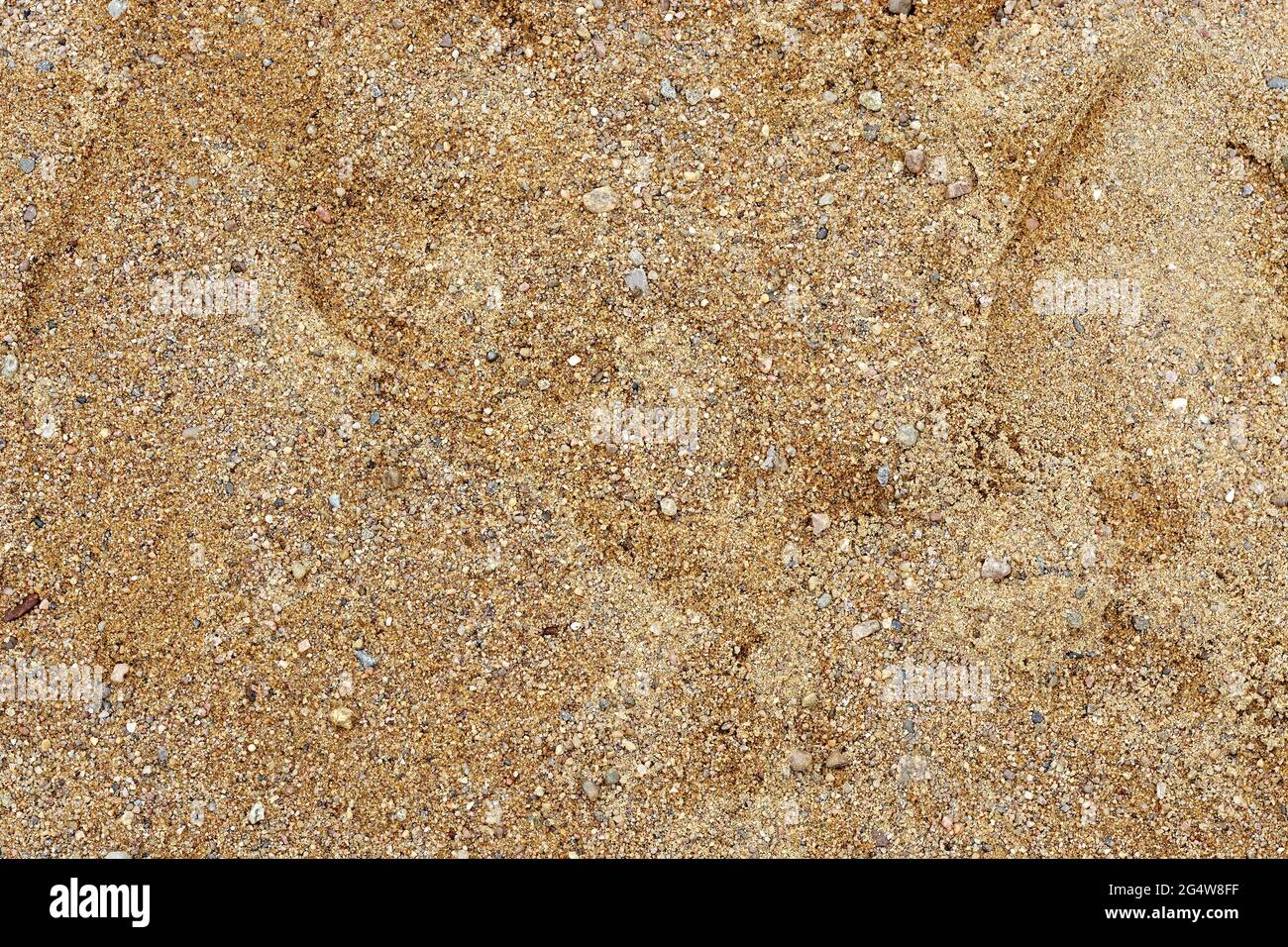Coarse-grained yellow sand with small pebbles, for use as abstract backgrounds and textures. Stock Photo