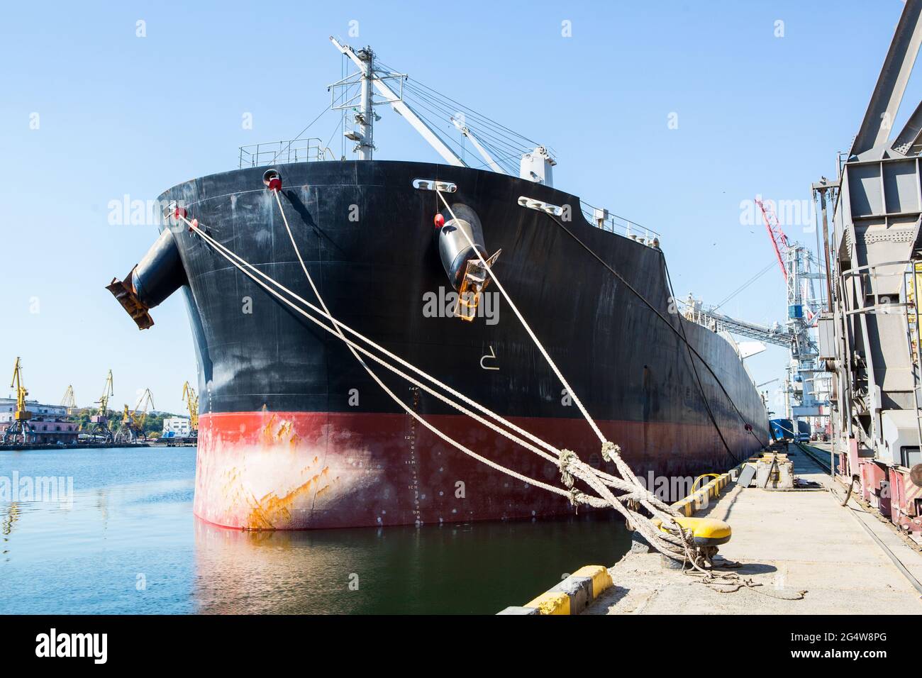Panamax bulk carrier loaded with wheat. Ship at grain terminal. Port