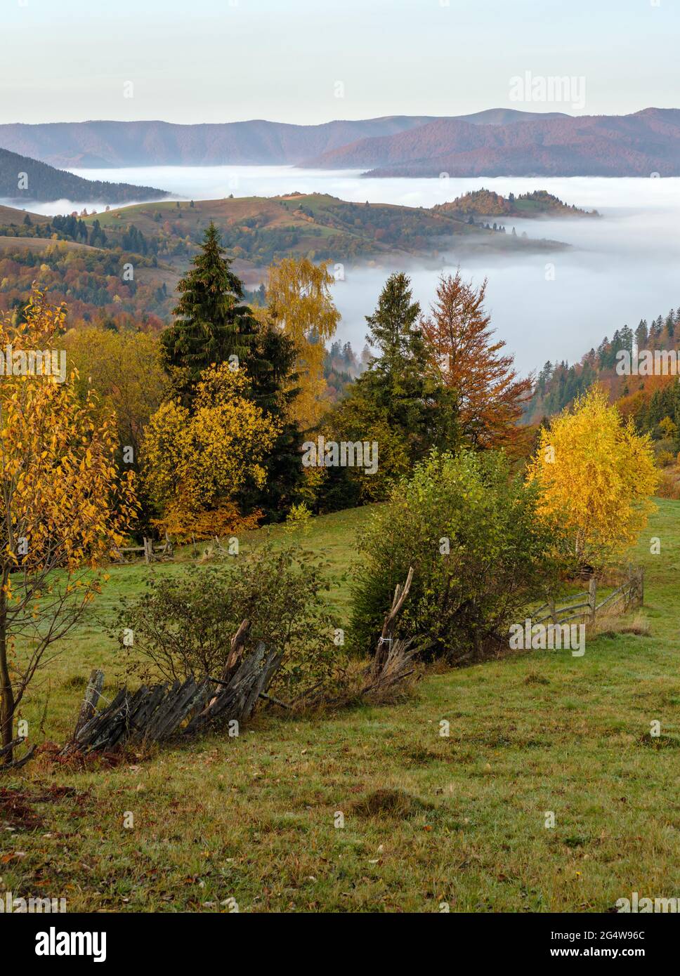 Cloudy and foggy autumn mountain early morning pre sunrise scene. Peaceful picturesque traveling, seasonal, nature and countryside beauty concept scen Stock Photo