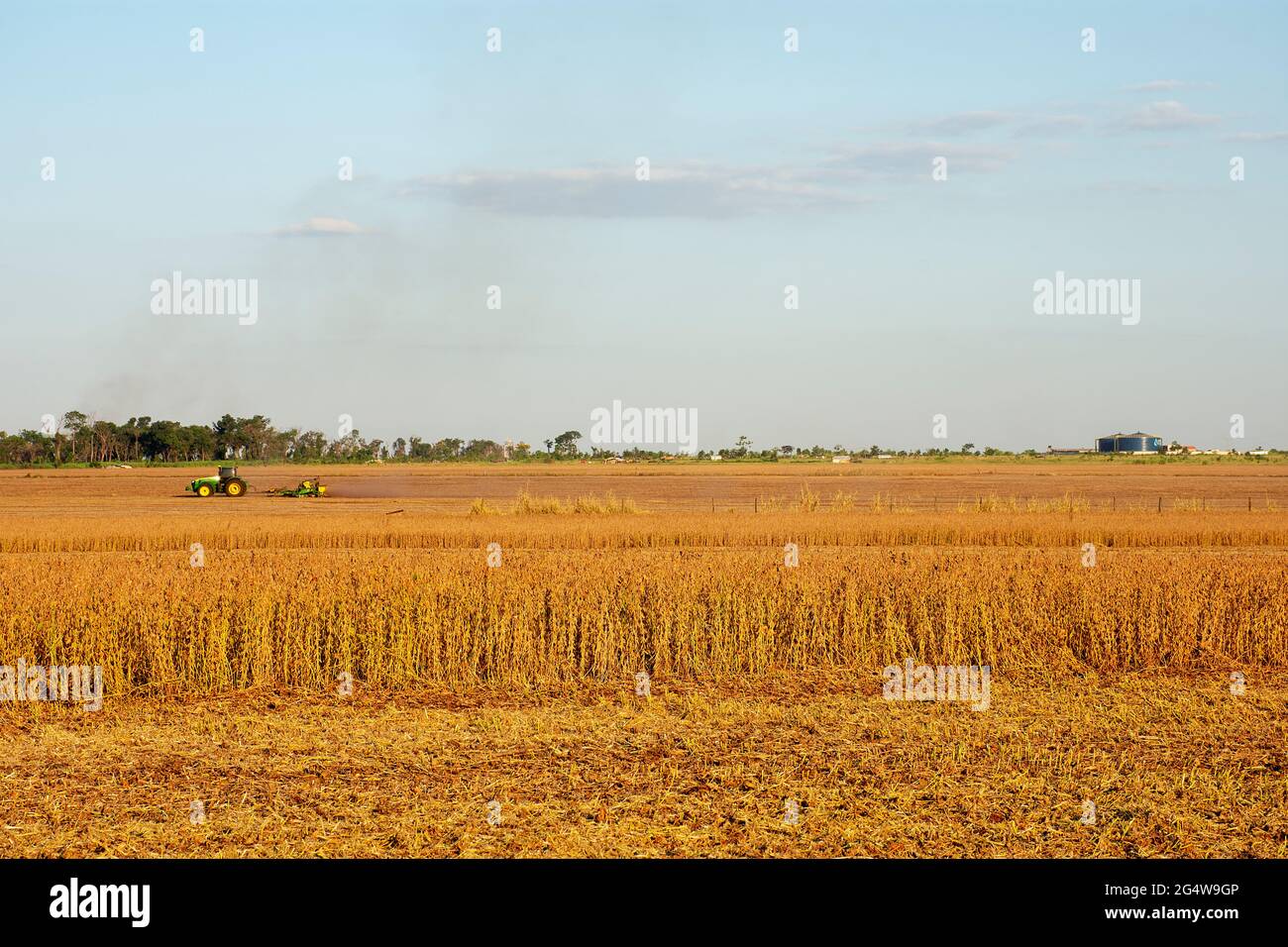 Soybean harvesting mato grosso hi-res stock photography and images - Alamy