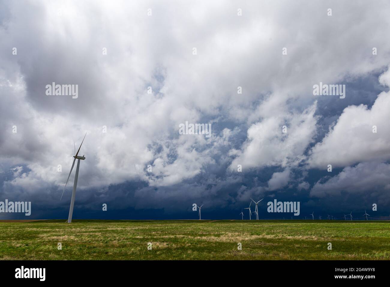 Ominous storms in the skies over the eastern Colorado plains with numerous windmills spread across the prairie Stock Photo