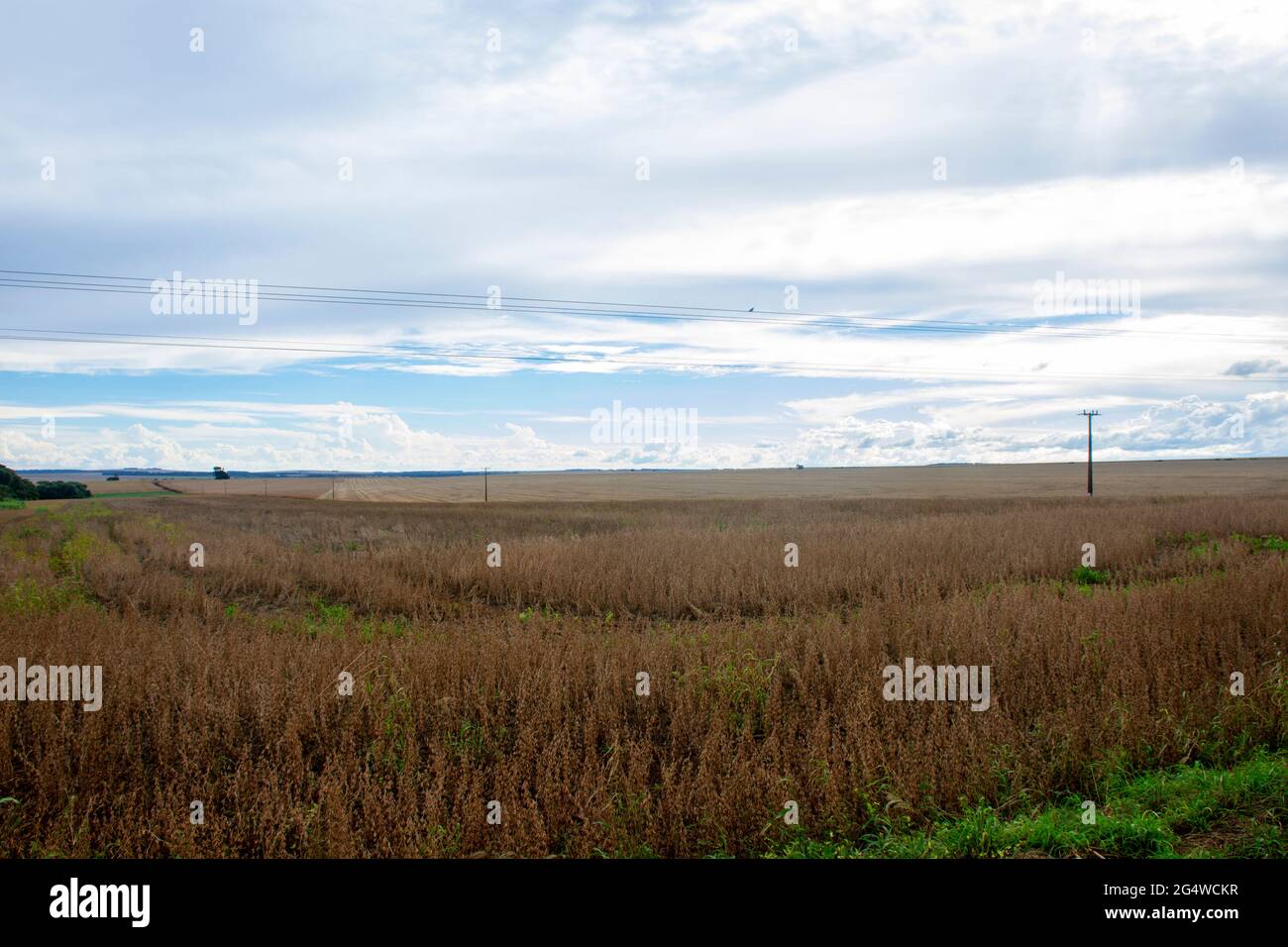 Soy tractor farm brazil hi-res stock photography and images - Alamy
