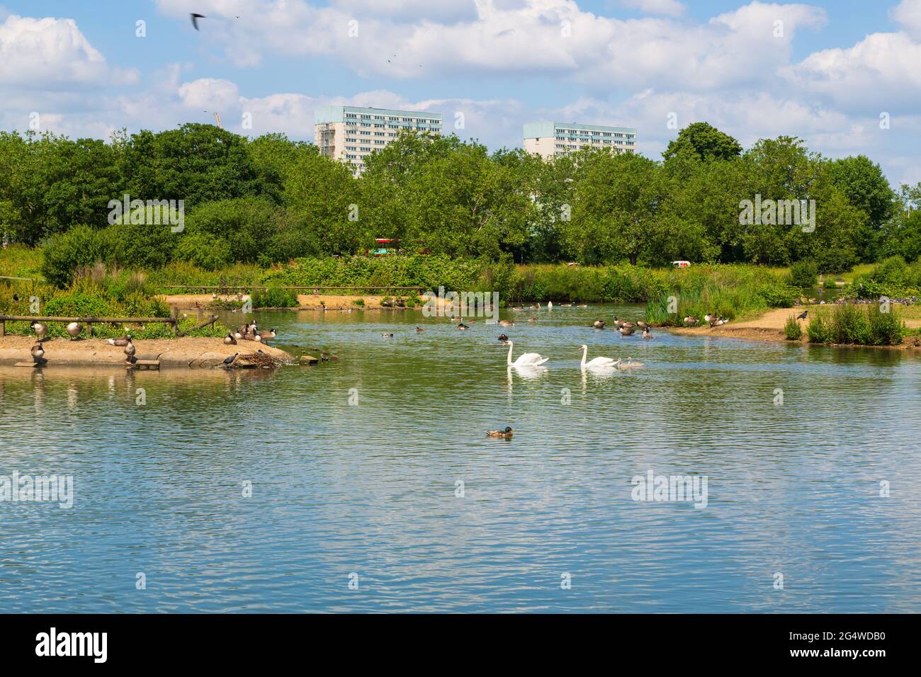 Wanstead flats, forest gate hires stock photography and images Alamy