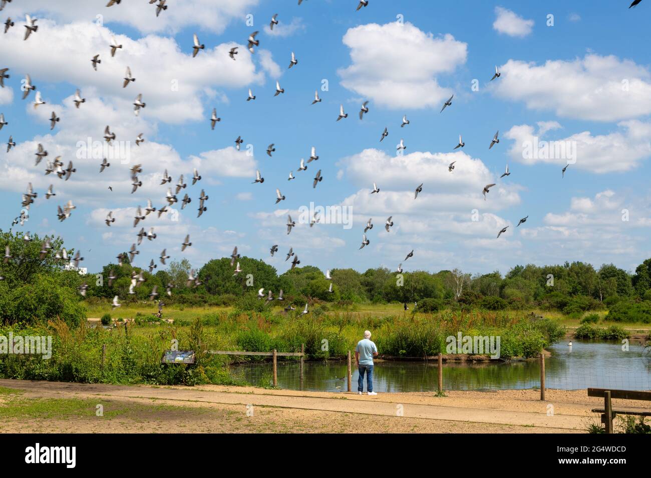 Jubilee pond wanstead hires stock photography and images Alamy