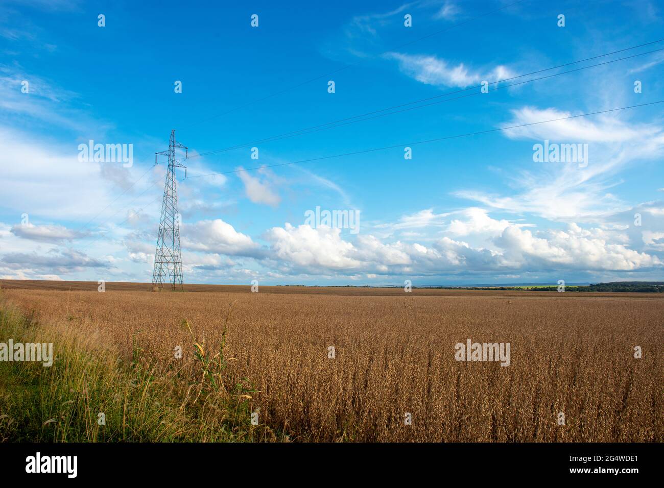 Mato grosso aerial soy hi-res stock photography and images - Alamy