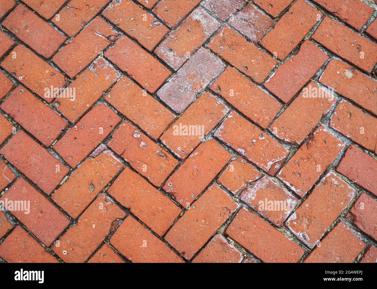 Fancy red brick pavers in a herringbone pattern, Columbus, Ohio Stock
