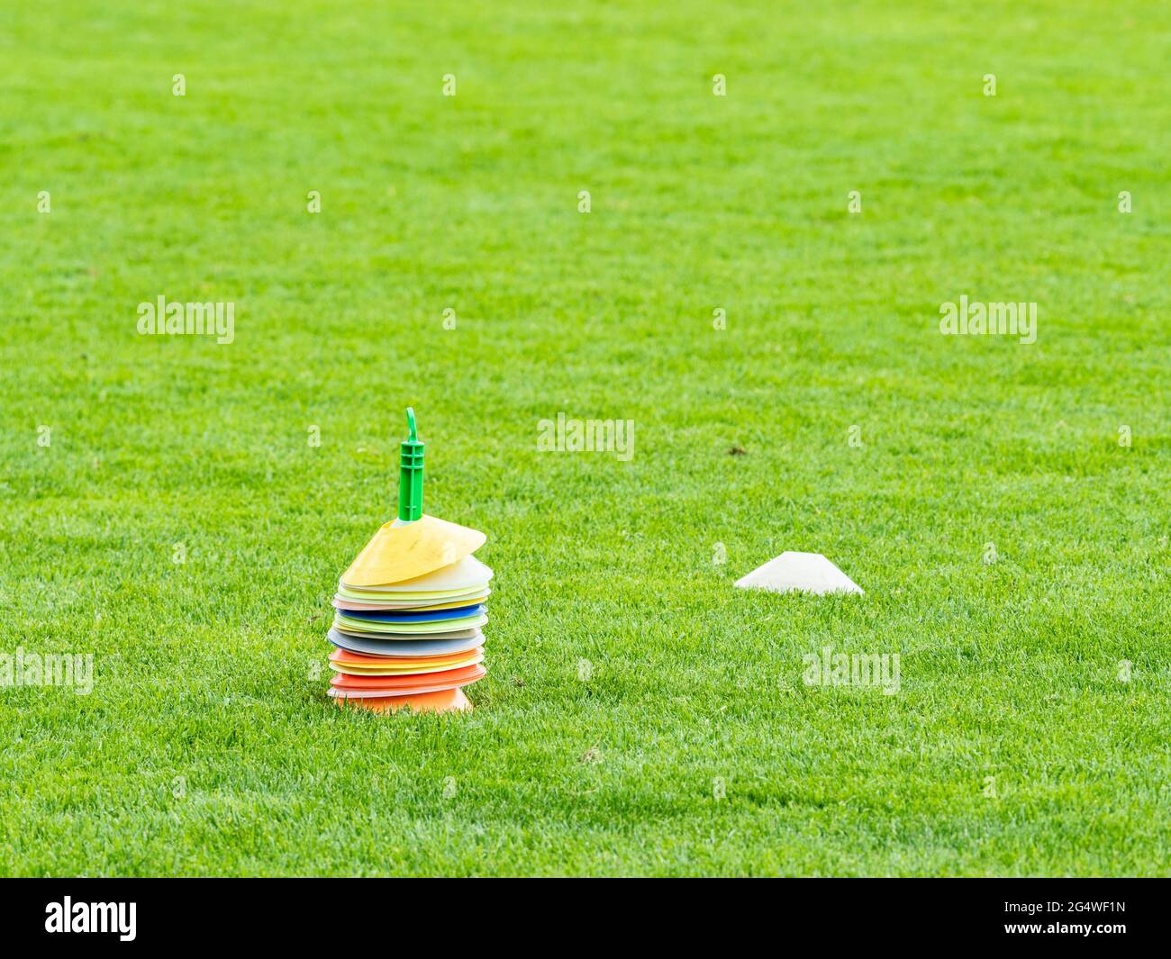 Colorful cones in football field. Coath arranged colorful markers in trainning grassfield of