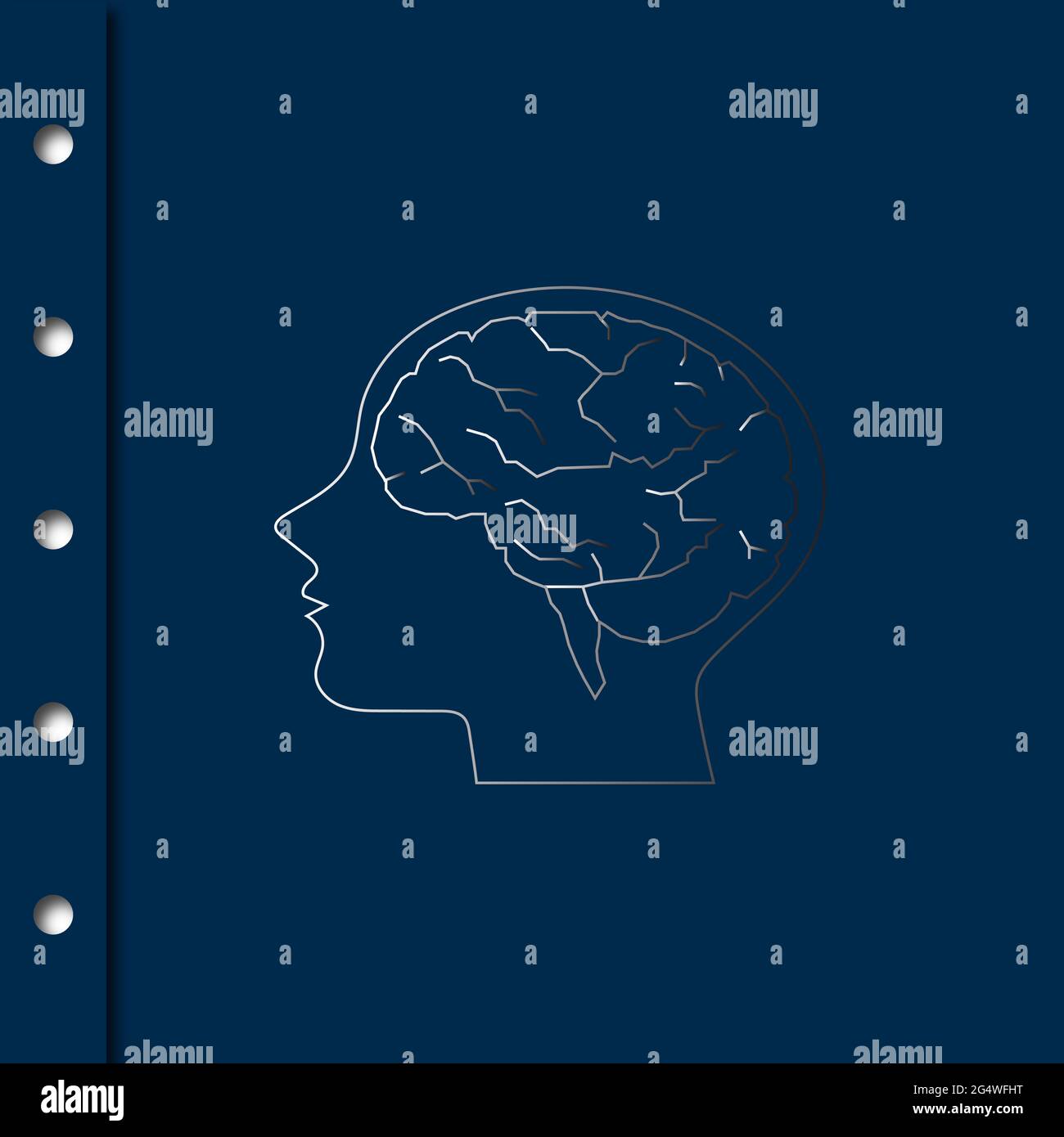 Human Brain model on blue background Stock Photo