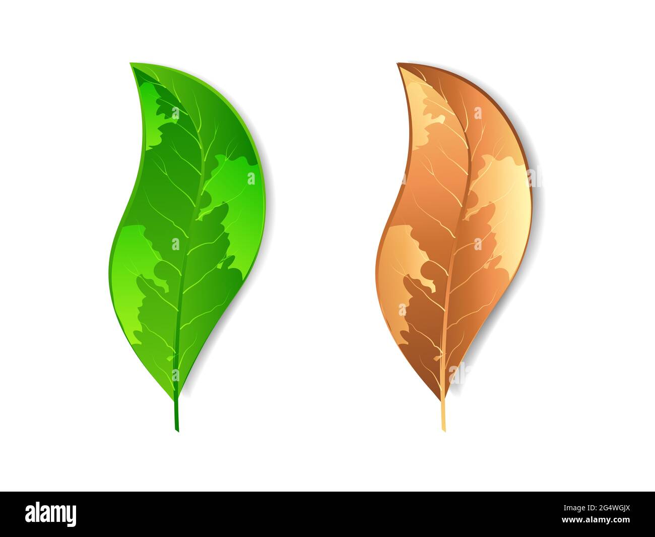 Realistic leaves, in concept time of change Stock Photo Alamy