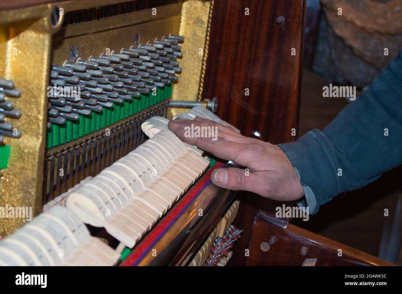 Piano repair work in progress by a craftsman Stock Photo Alamy
