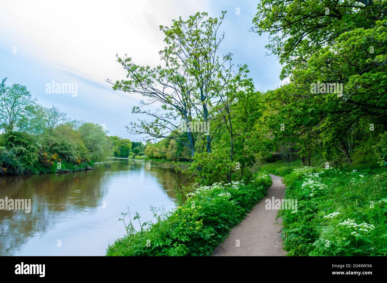 A River Pathway along the River Coquet at Warkworth, Northumberland Stock Photo