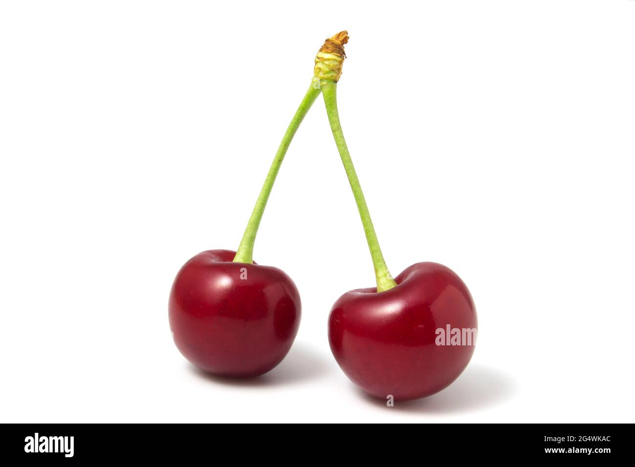 Two isolated red cherries on a white background Stock Photo
