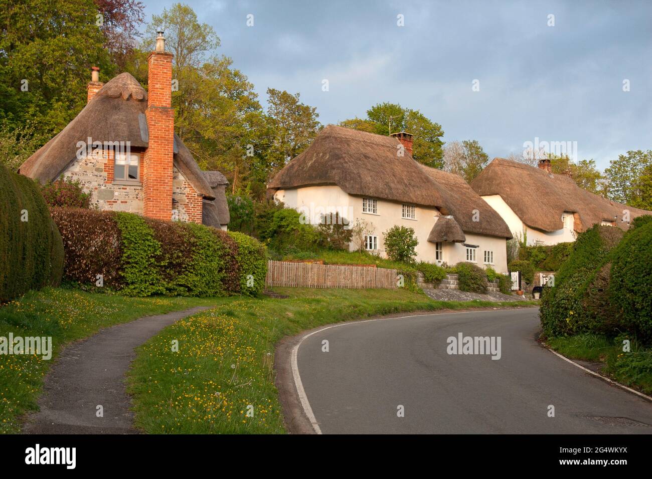 Thatched cottages in Stapleford, Till Valley, Salisbury, Wiltshire, England Stock Photo