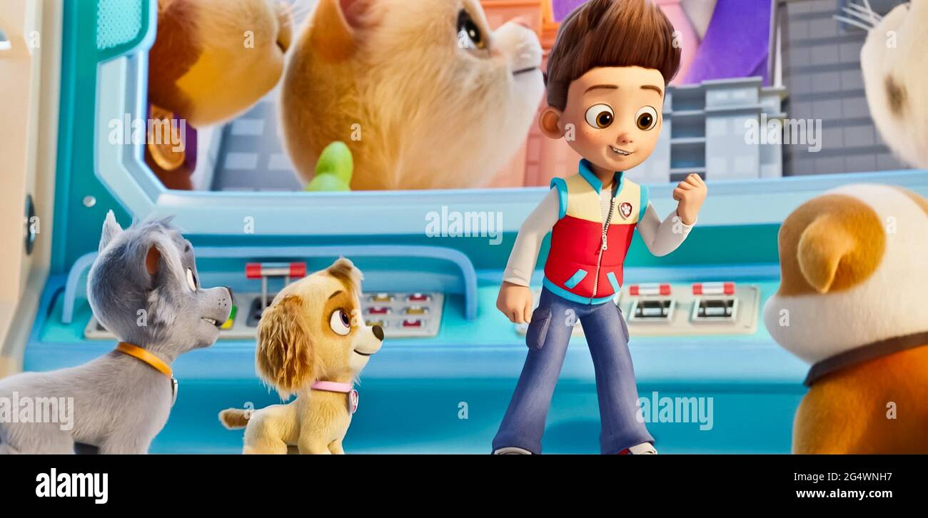 raiders paw patrol