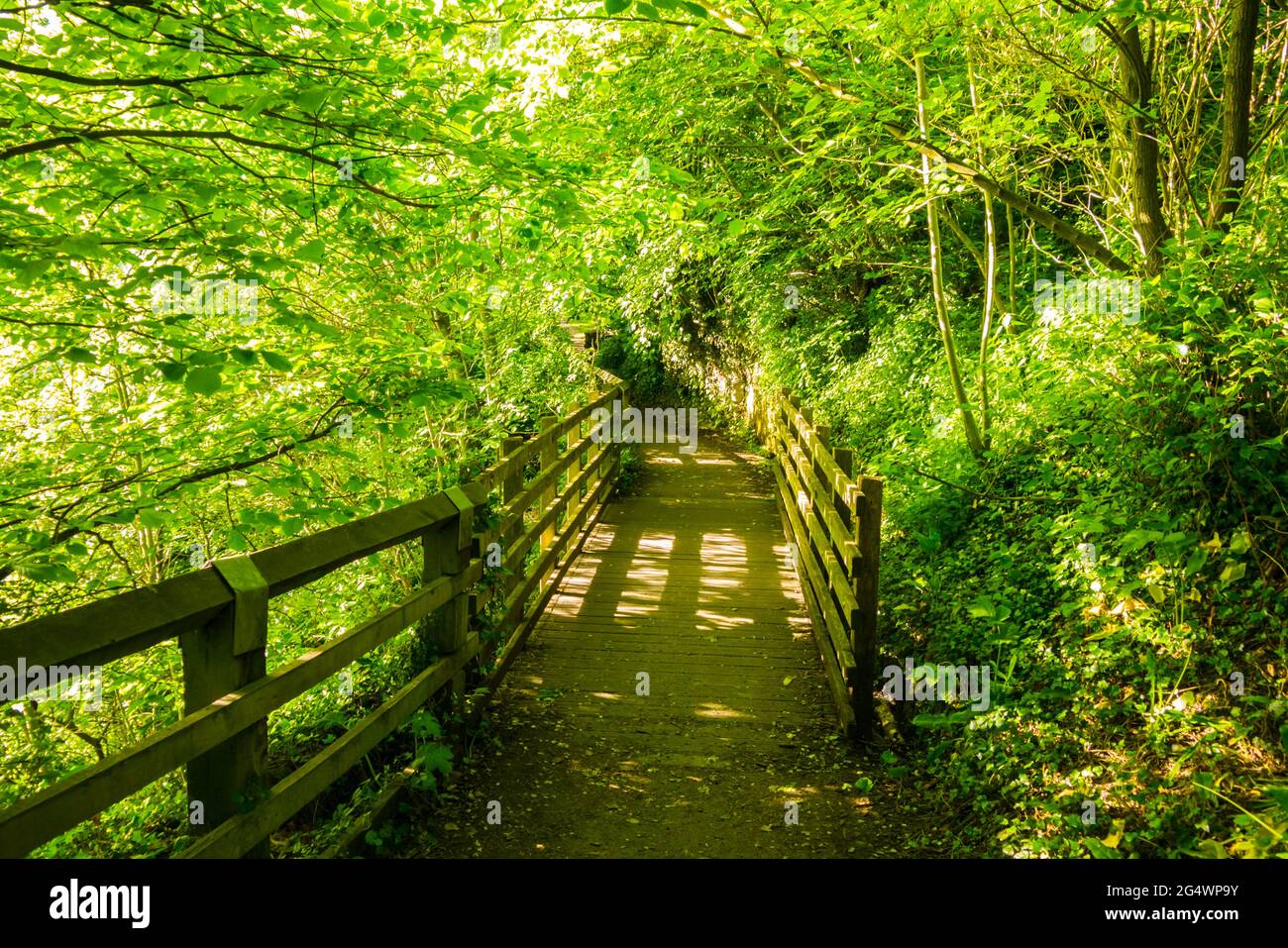 A Countryside Pathway and Wooden Bridge at Barnard Castle, Teesdale Stock Photo