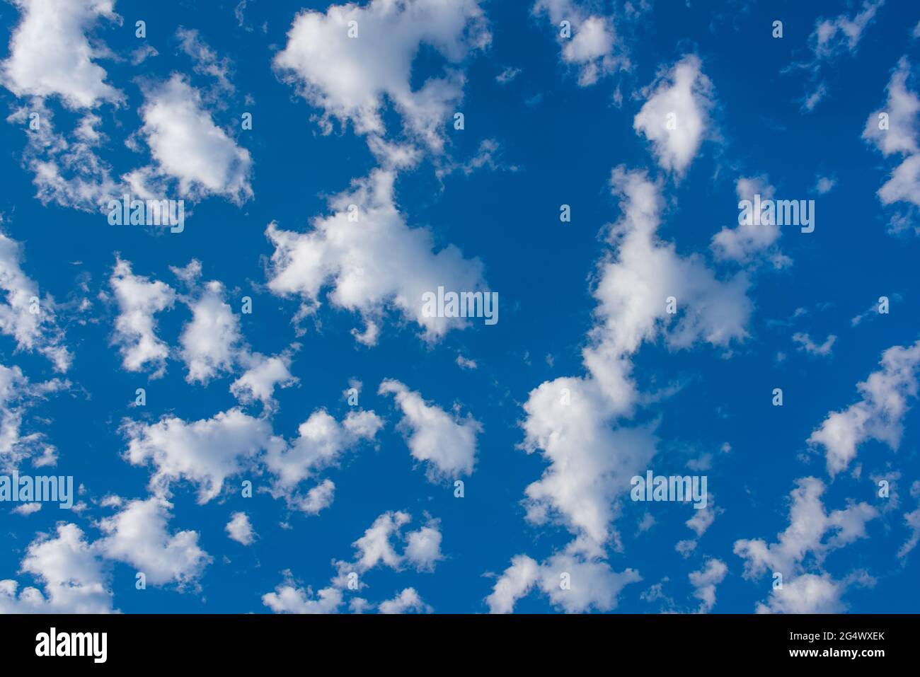 Stock photos for weather magazine websites partly cloudy blue sky. Puffy balls cotton ball clouds Stock Photo