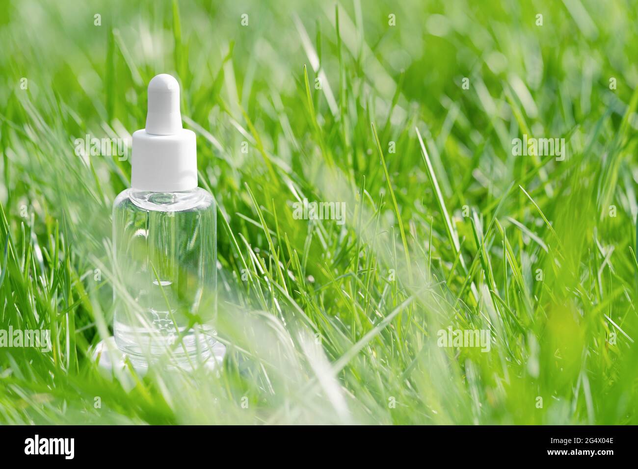 Transparent glass bottle with serum, essential oil, anti aging collagen cosmetic beauty product among the green grass field. Natural organic cosmetic Stock Photo