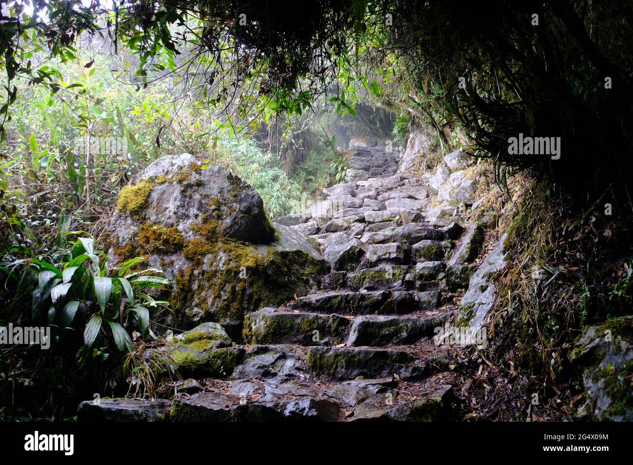 Aguas calientes machu picchu hiker hi-res stock photography and images ...