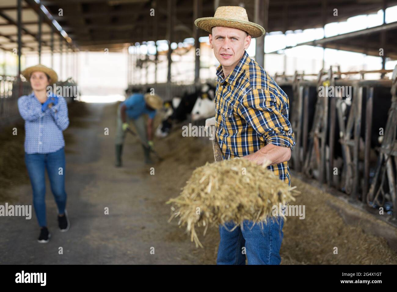 Portrait of male farmer working in cowshed Stock Photo - Alamy