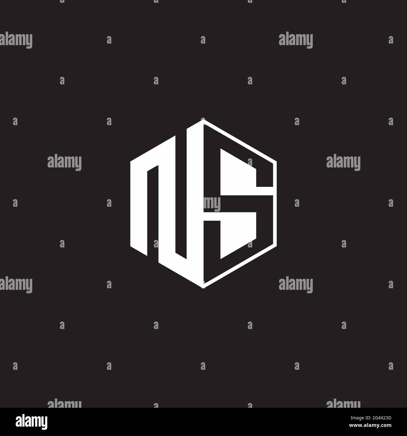 NS N S SN Logo monogram hexagon with black background negative space ...