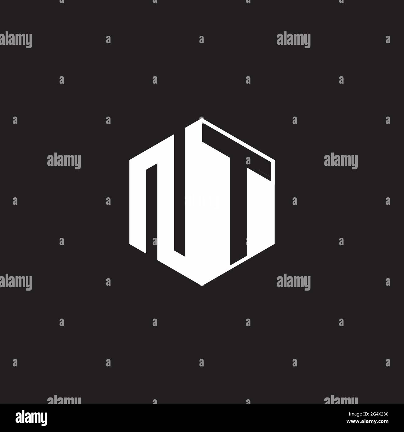 NT N T TN Logo monogram hexagon with black background negative space ...