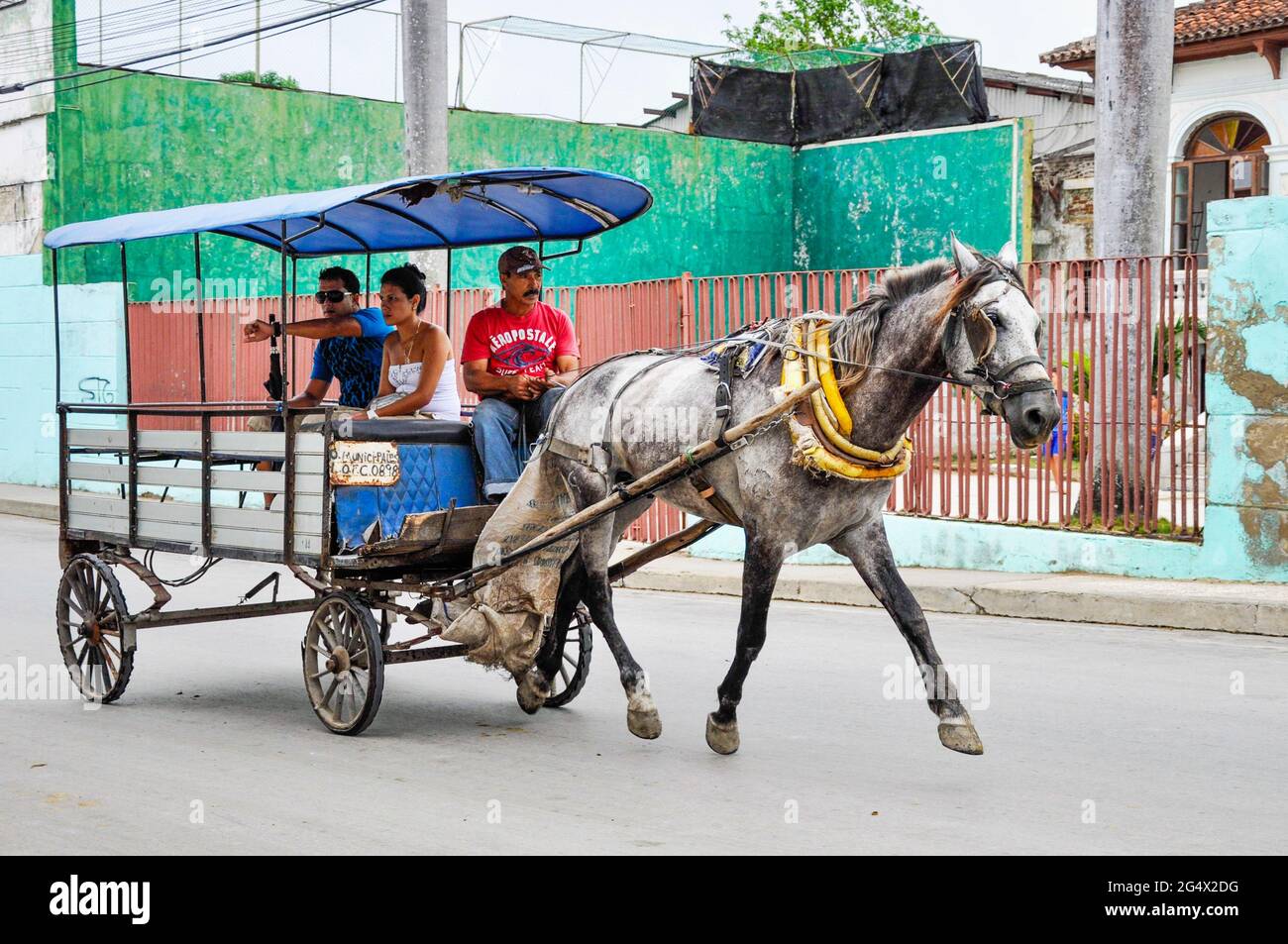 Horse Drawn Carriage with passengers in Cuba, The government has allowed  private transportation to solve the critical problems of the population.  Self Stock Photo - Alamy
