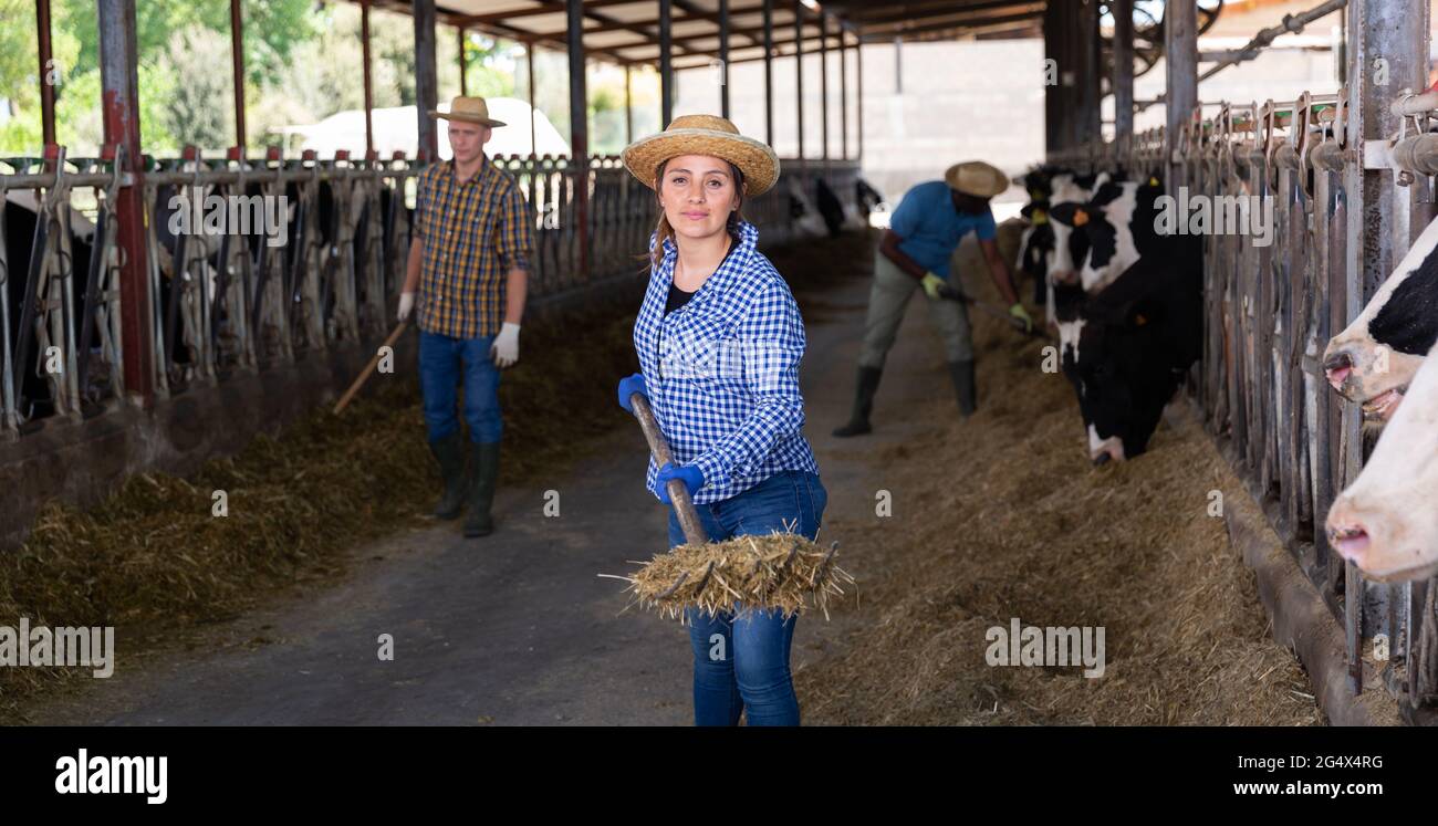 Portrait of farmers labored in a cowshed Stock Photo - Alamy
