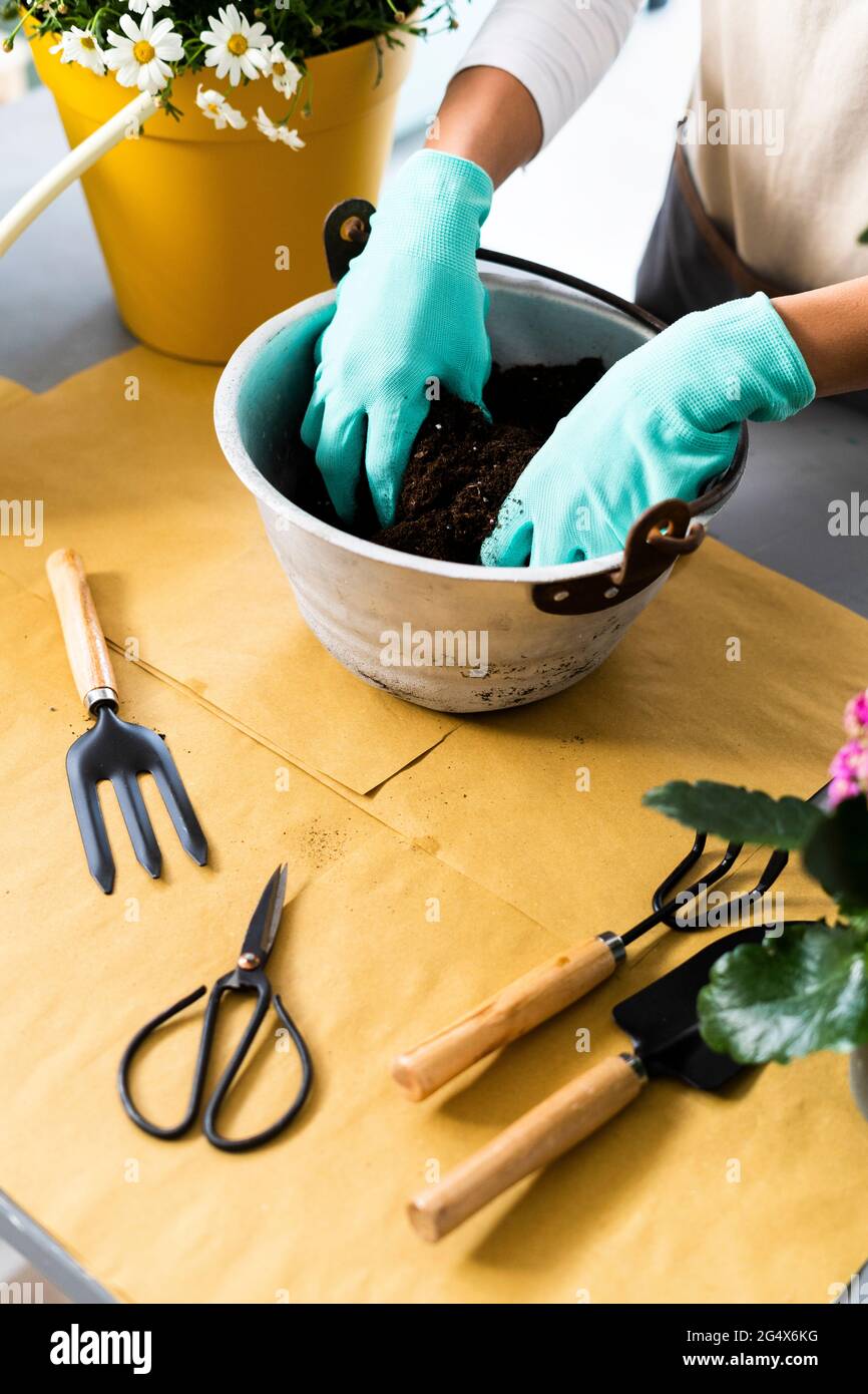Female florist with protective glove working at plant shop Stock Photo