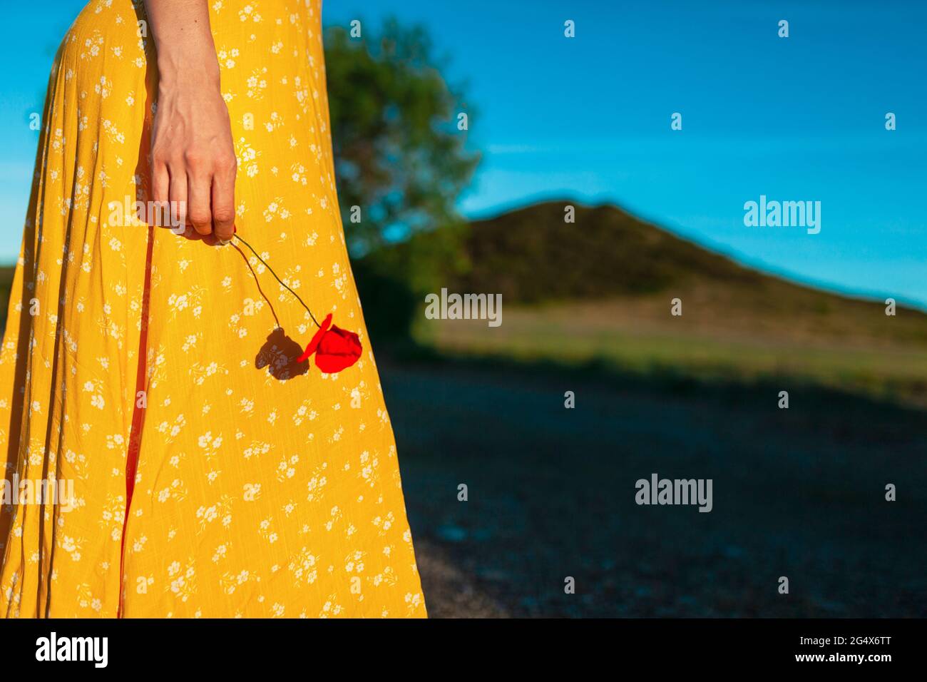 Woman in yellow sundress holding red poppy flower on sunny day Stock Photo