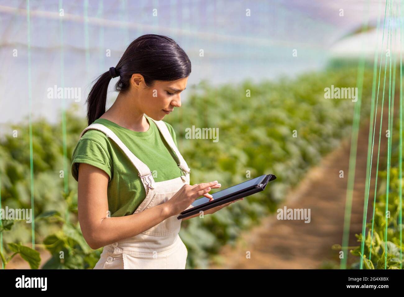 Female farmer using digital tablet in greenhouse Stock Photo