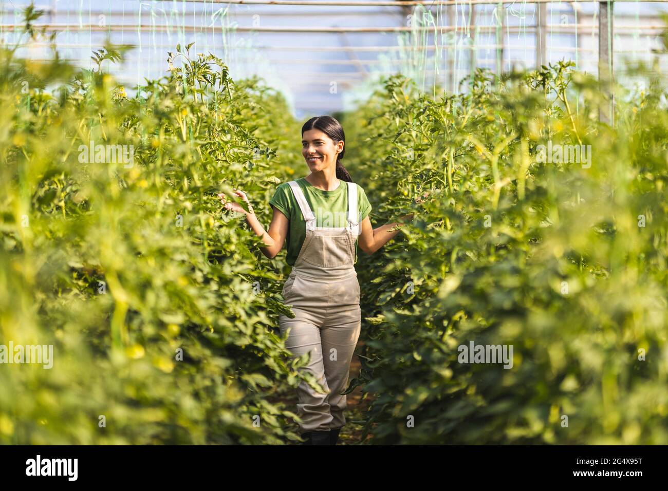 Farmer looking at green crops hi-res stock photography and images - Alamy