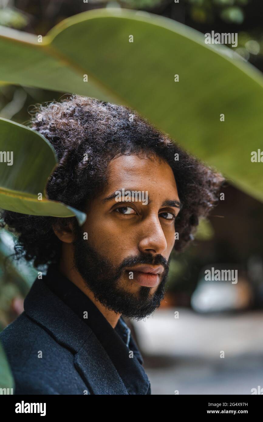 Young curly hair man by leaves Stock Photo