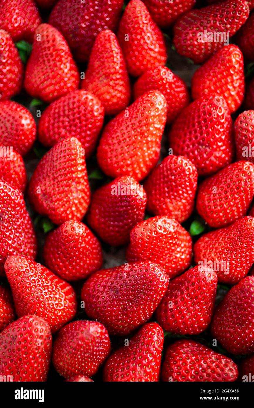 Full frame strawberries hi-res stock photography and images - Alamy