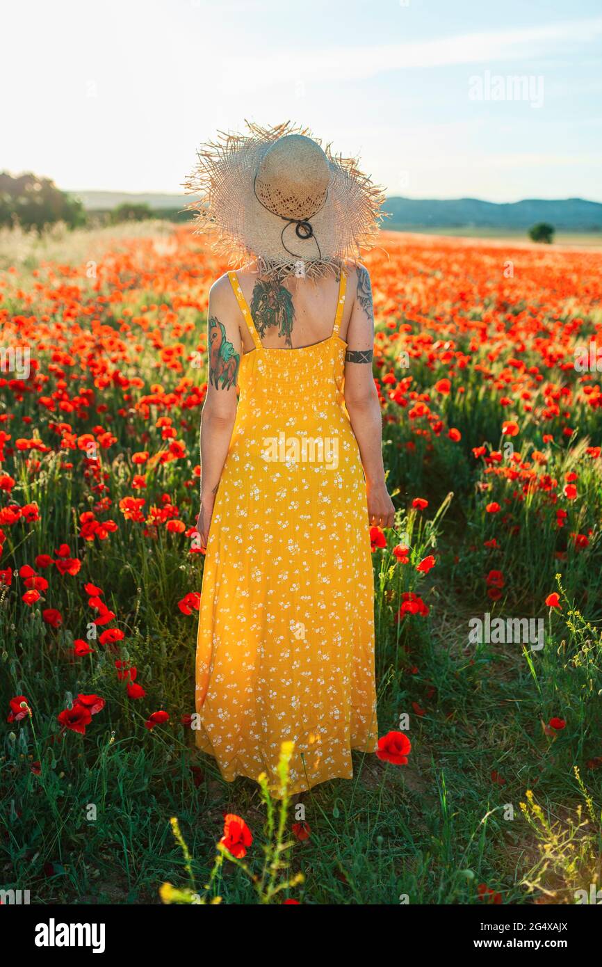 Mid adult woman in sundress standing at poppy field Stock Photo